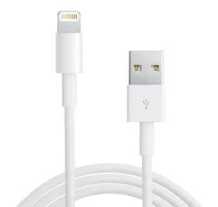 Apple Lightning-USB Datakabel 0.5m Original