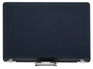 Skærm til MacBook 12'' A1534 - sølv (Original Refurbished)