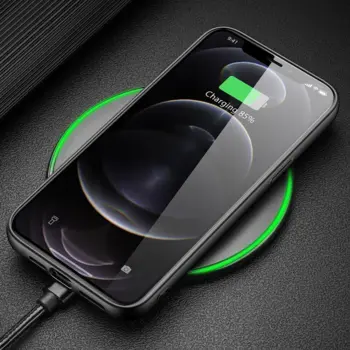 Dux Ducis Fino case for iPhone 13 Pro Green