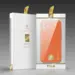 DUX DUCIS Yolo Elegant  Case for iPhone 12 Orange